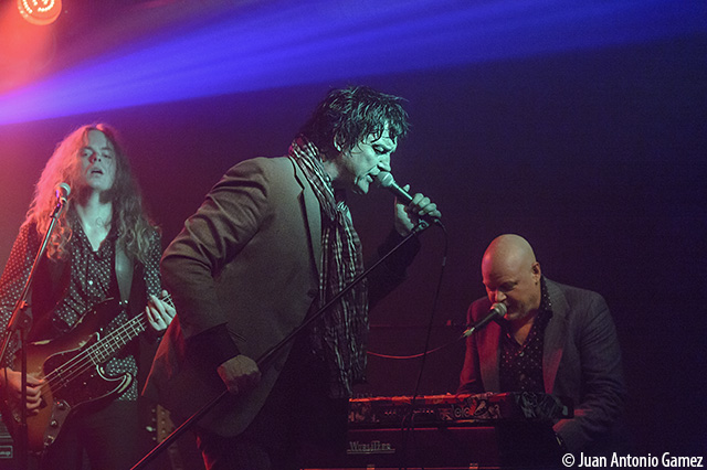 Diamond Dogs_JAG9452