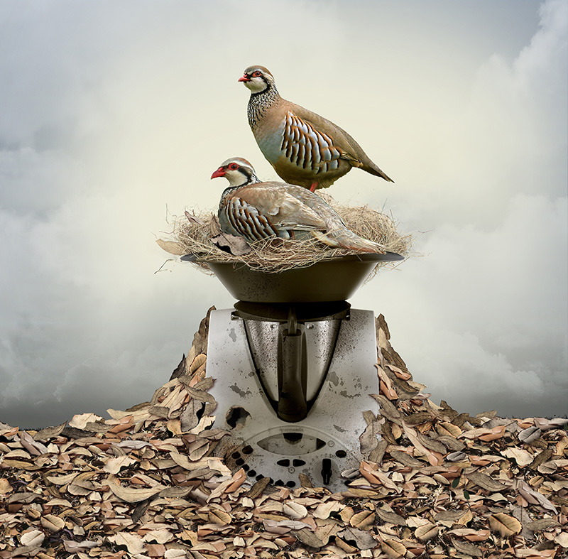 Hojarasca & Thermomix 01. Collage digital 70 x 70 cm