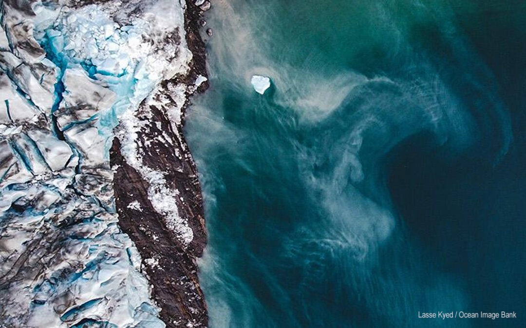 Día Mundial del Medio Ambiente 2026. Un llamamiento global por la acción climática