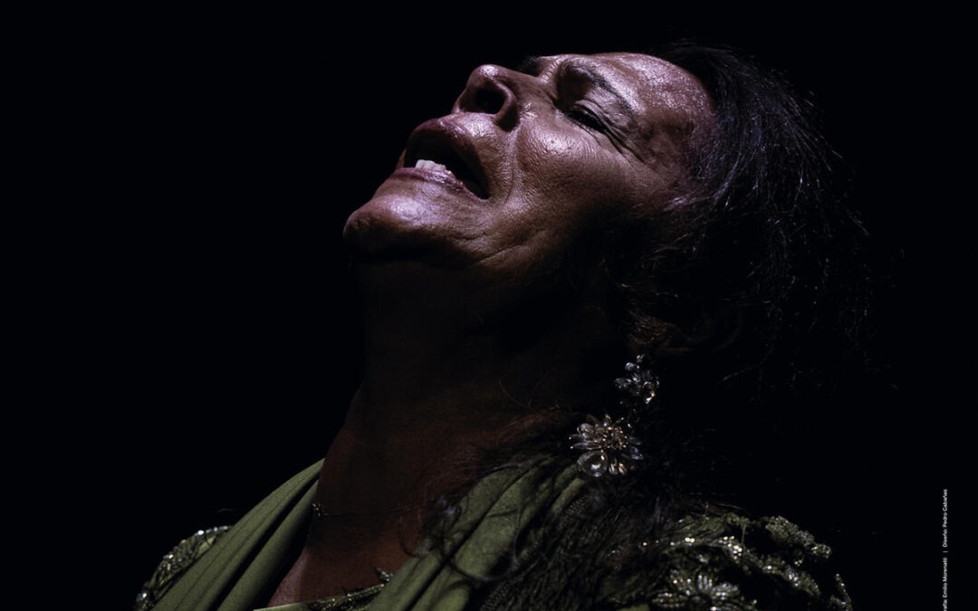 La XXIV Bienal de Flamenco de Sevilla 2026: El Centenario de una Era